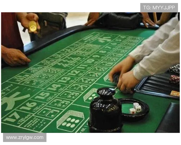 优质百家乐娱乐平台推荐，享受高返水和丰富的游戏玩法体验